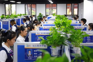 数字浪潮下的自贸港 互联网如何成为海南发展的“关键变量”